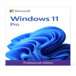Microsoft Windows 11 Pro Box Pack